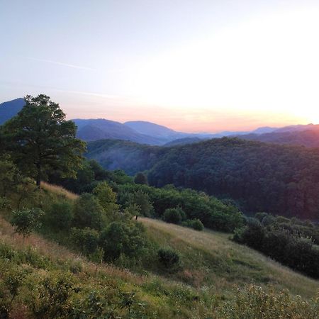 Zagora Hills Apartman Krapina Bagian luar foto